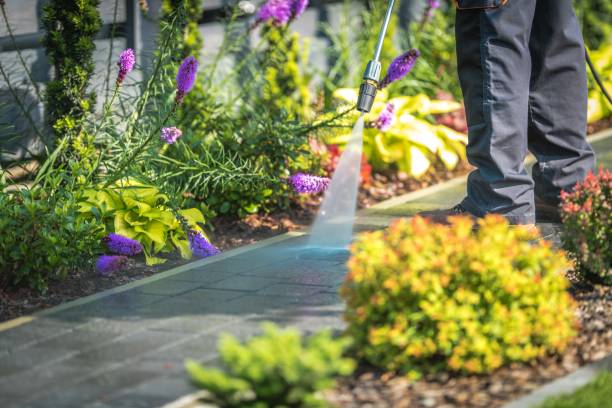 Spring Cleaning in Pacific Grove, CA